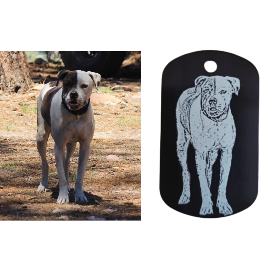 Dog Tags