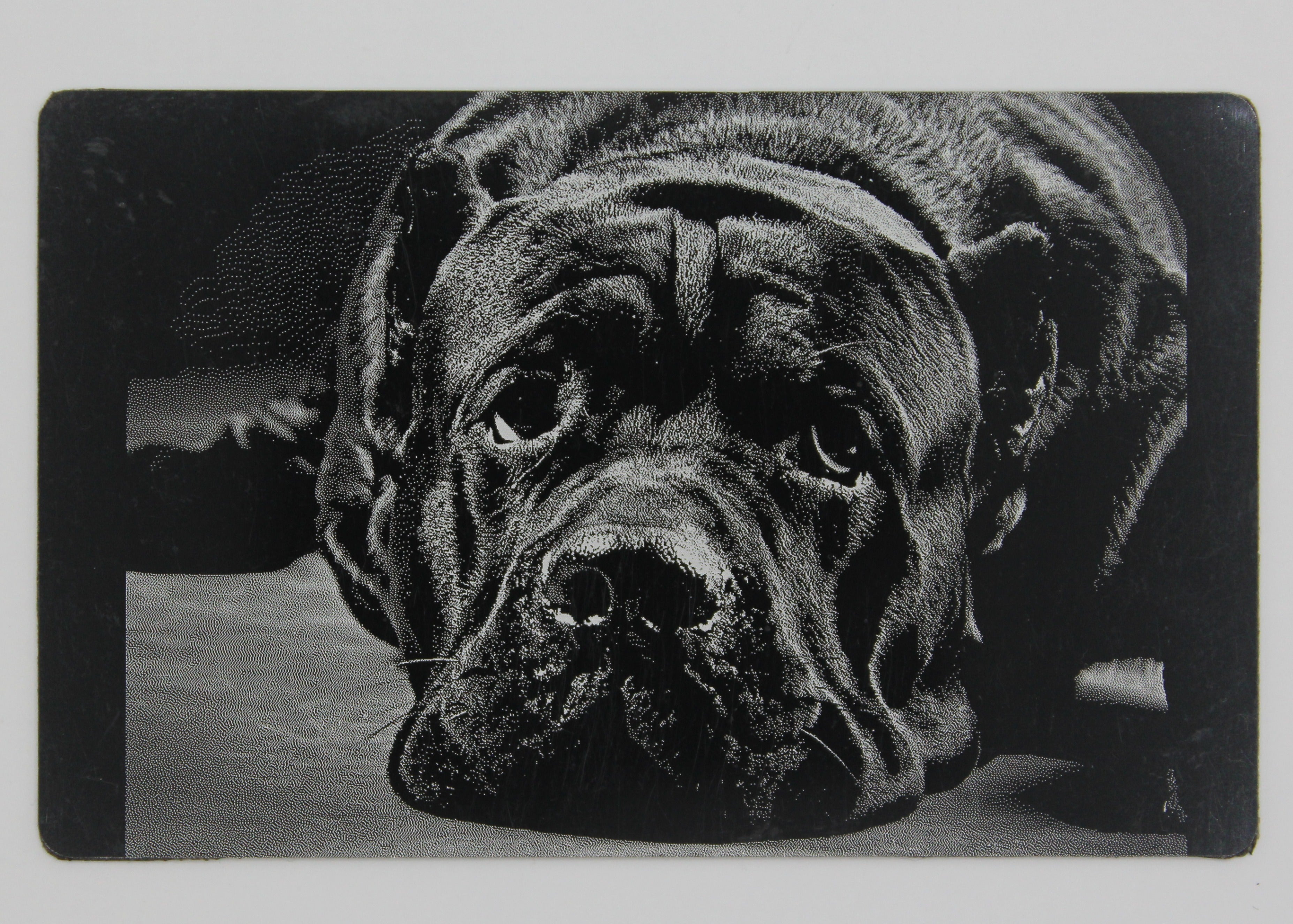 Dog 3 1/2x2 metal magnet