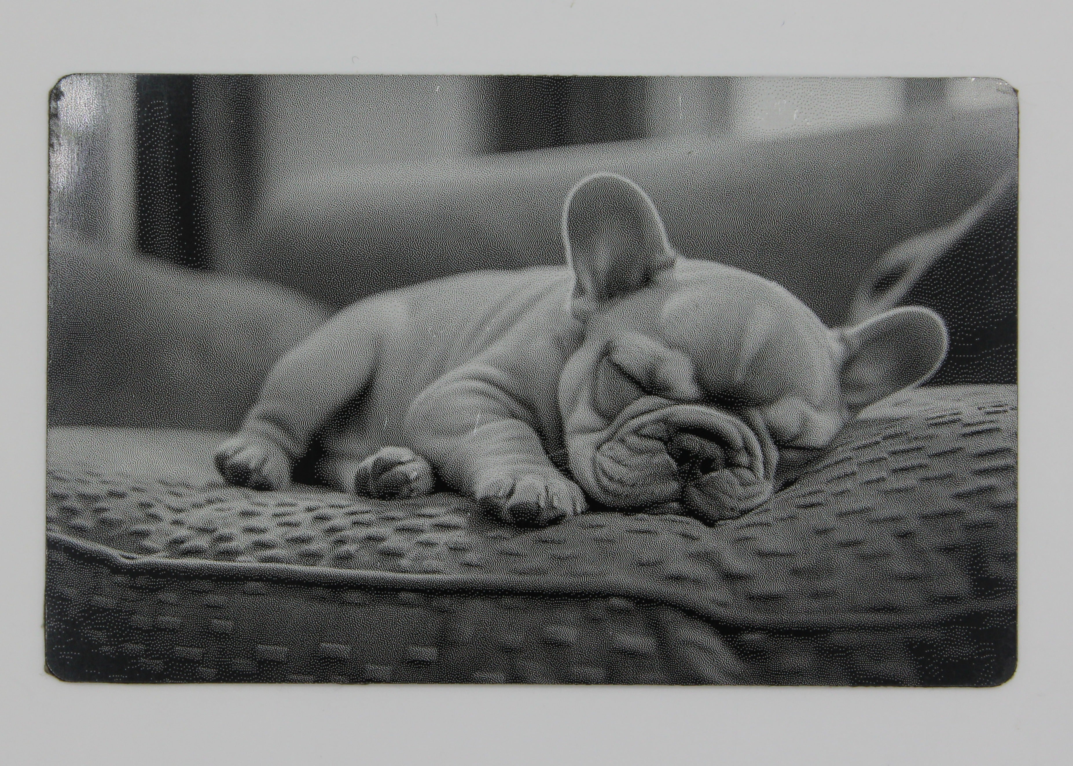 Dog 3 1/2x2 metal magnet