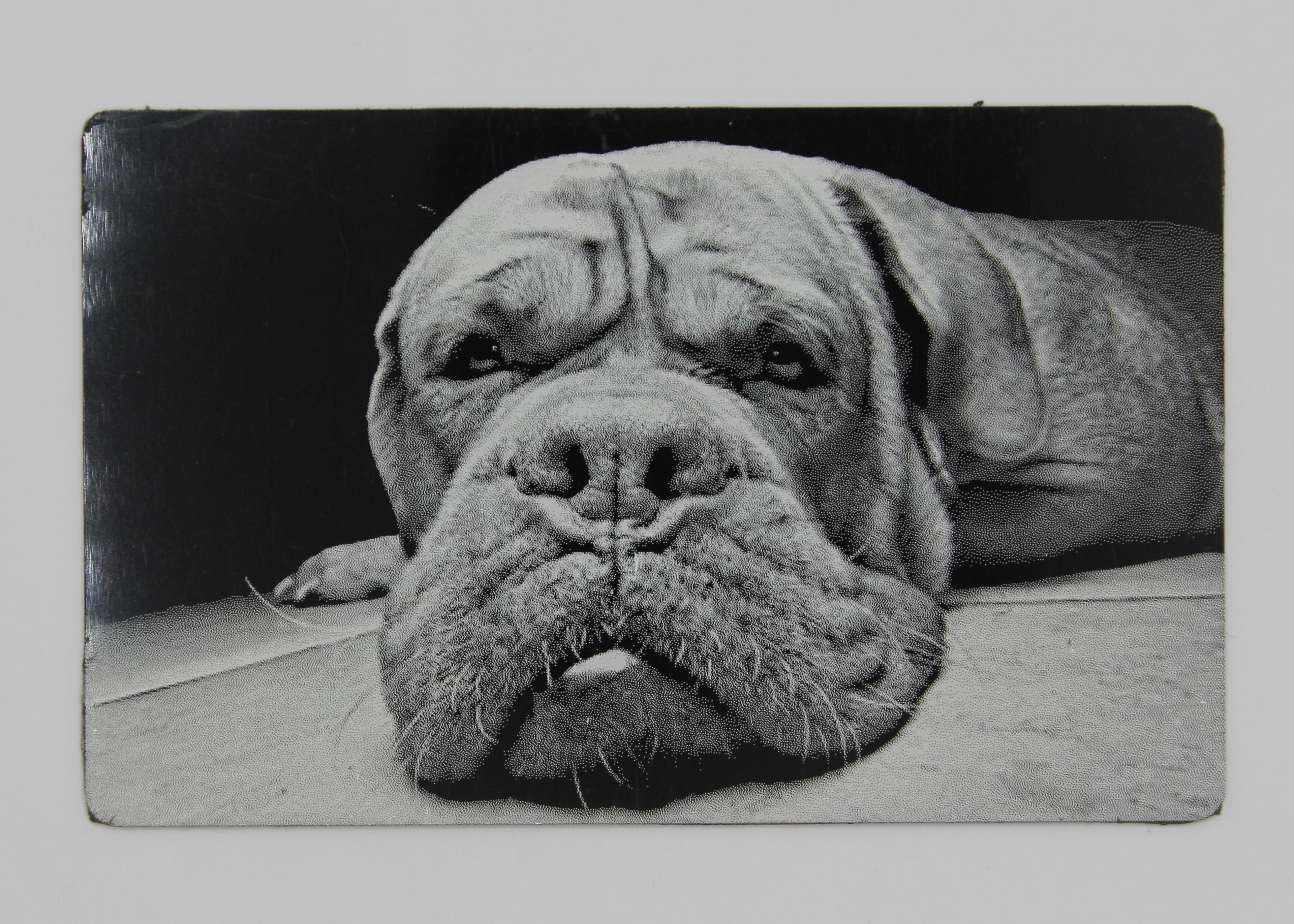 Dog 3 1/2x2 metal magnet