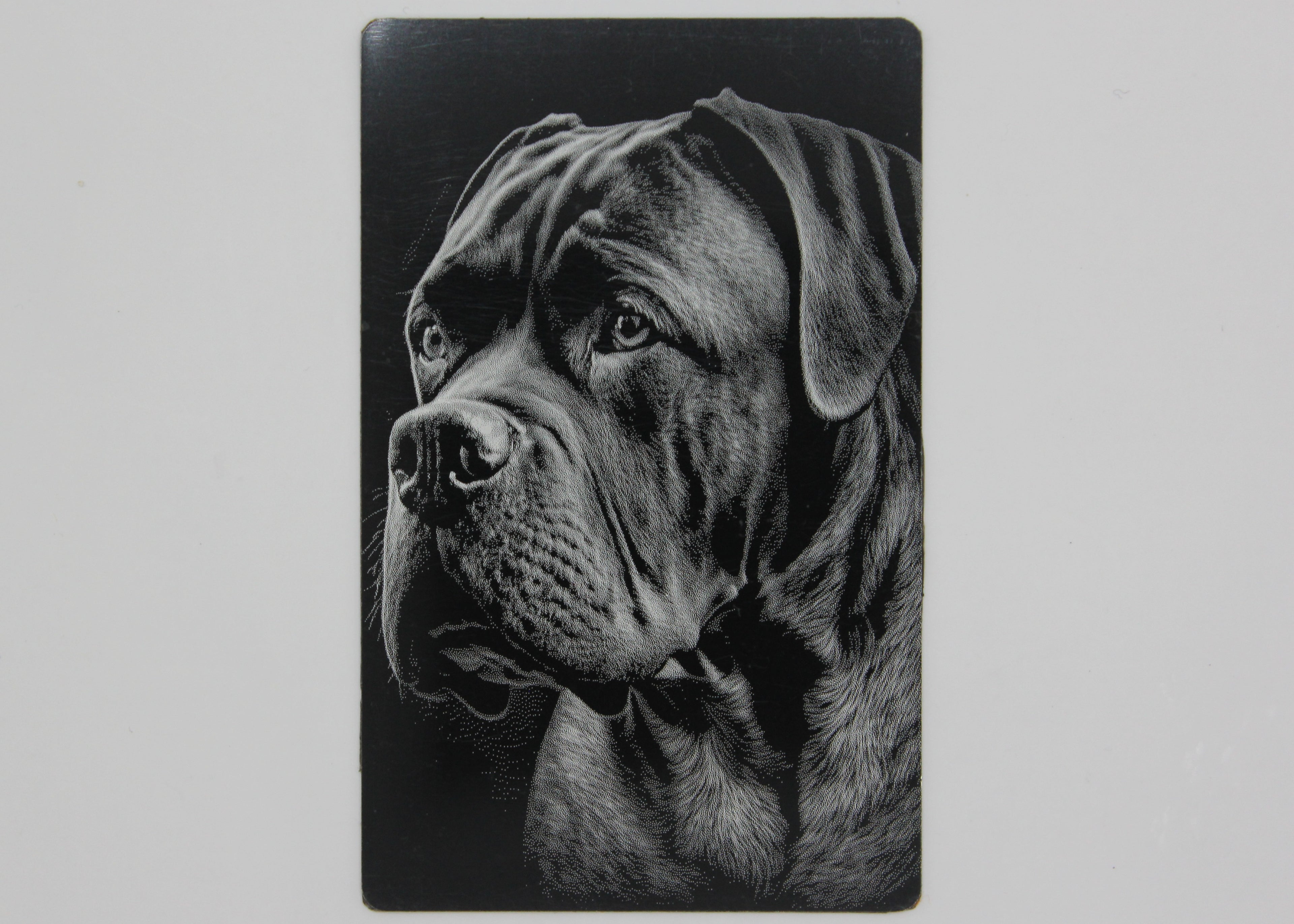 Dog 3 1/2x2 metal magnet