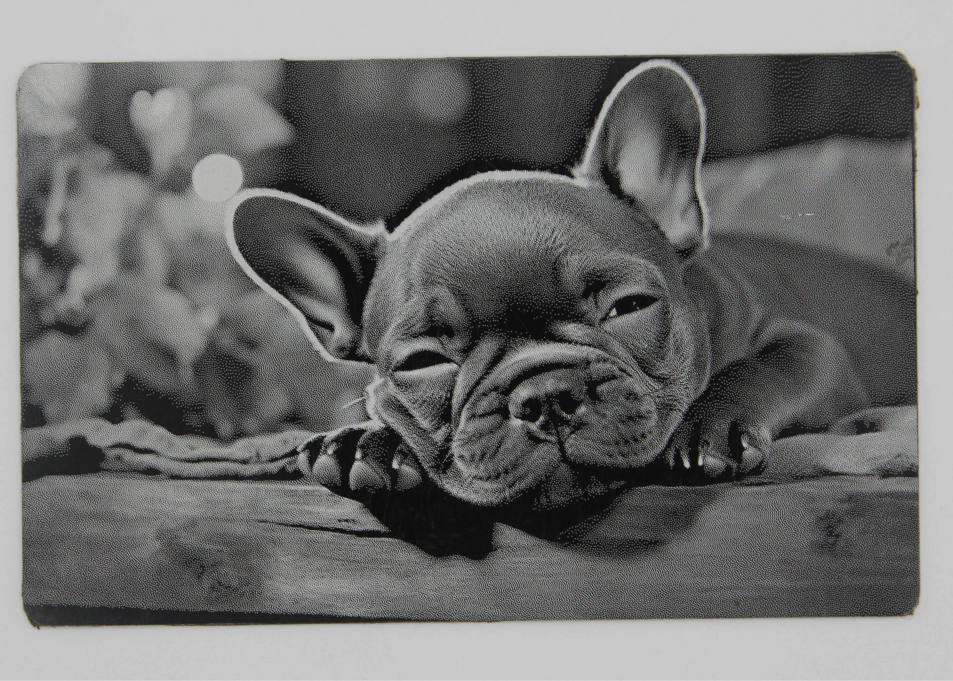 Dog 3 1/2x2 metal magnet