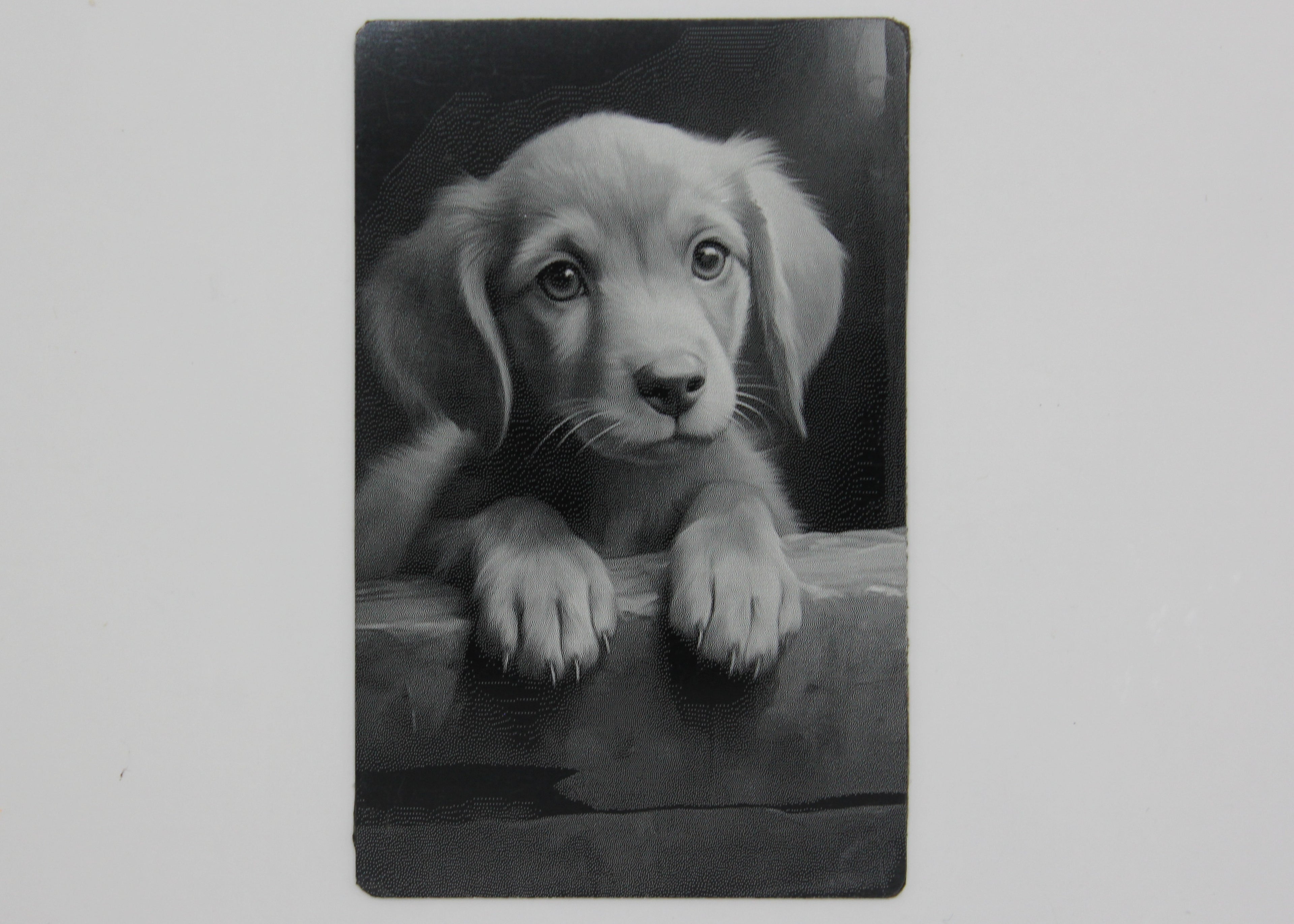 Dog 3 1/2x2 metal magnet