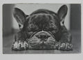 Dog 3 1/2x2 metal magnet