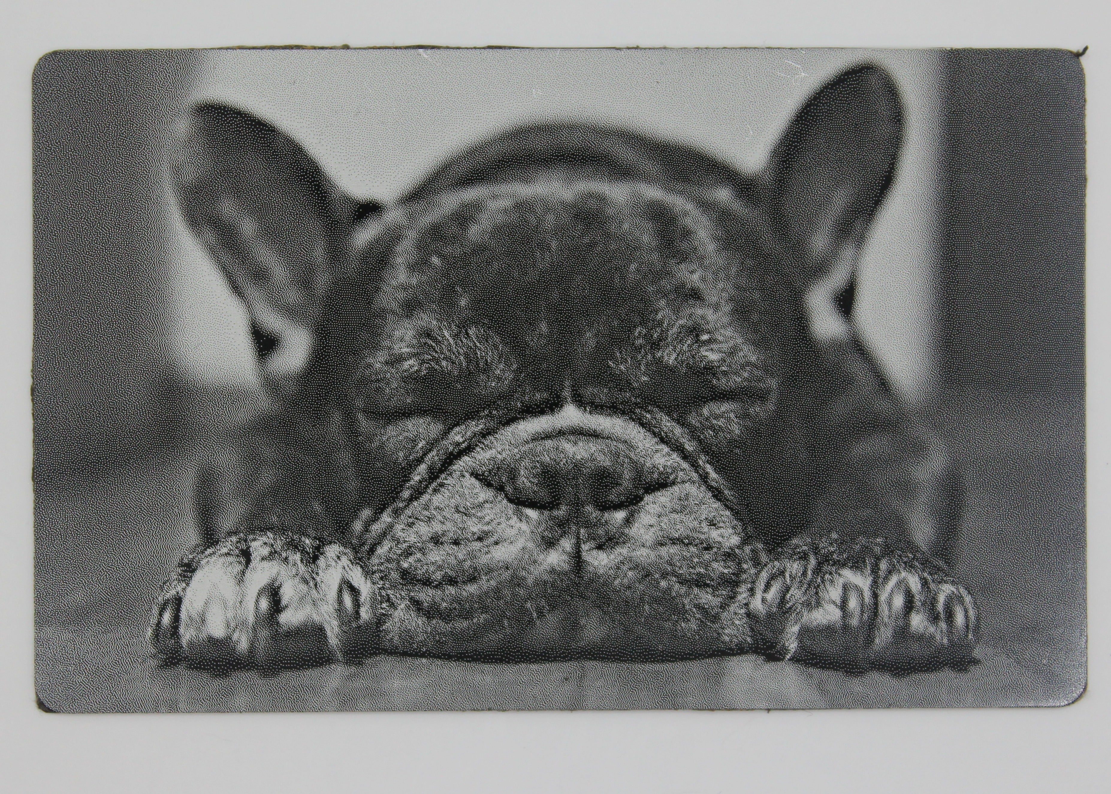 Dog 3 1/2x2 metal magnet