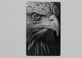 Eagle 3 1/2x2 metal magnet