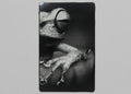 Frog 3 1/2x2 metal magnet