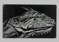 Lizard 3 1/2x2 metal magnet