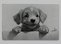 Puppy 3 1/2x2 metal magnet