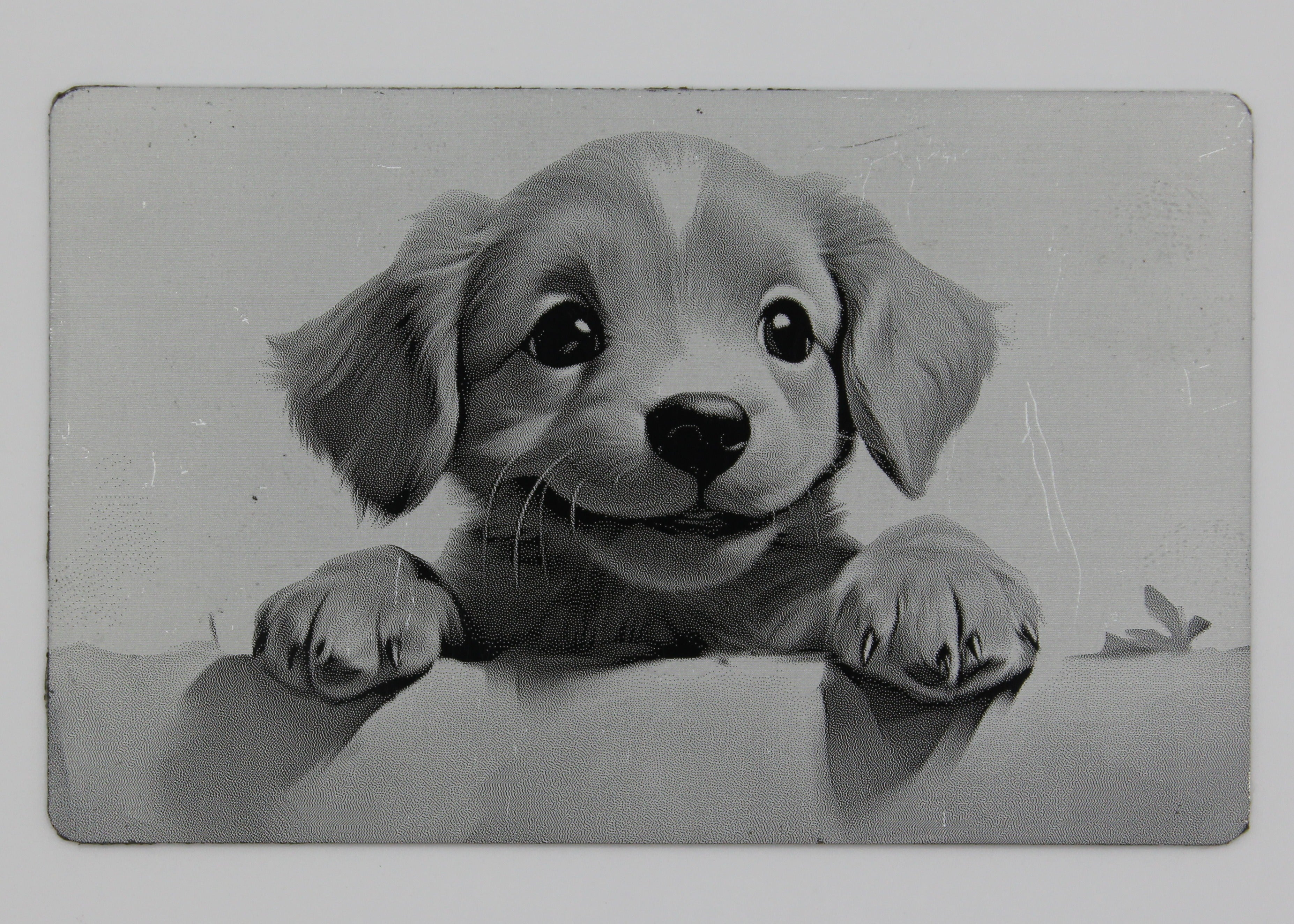 Puppy 3 1/2x2 metal magnet