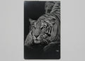 Tiger 3 1/2x2 metal magnet